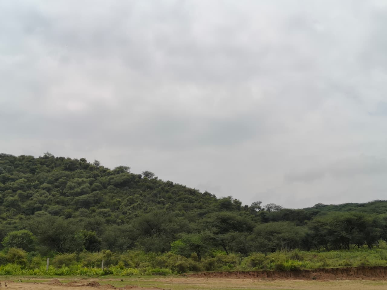 Vedic Hill Farms Township